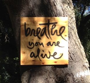 breath-alive