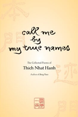 Call Me by My True Names Book Cover